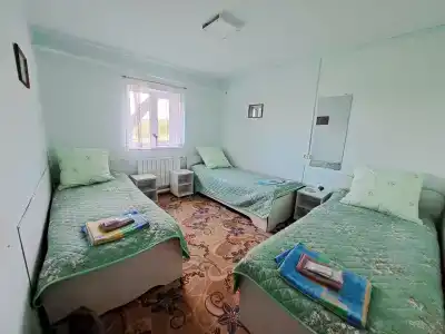 Чистоп - 12