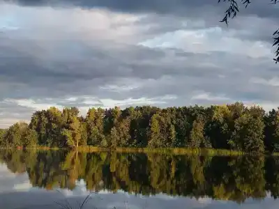 Лесная сказка - 7
