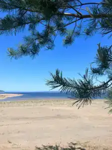 Чистый берег - 6