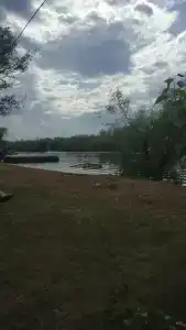 Бодрость - 96