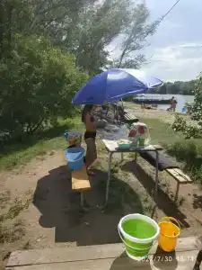 Бодрость - 74