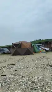 Зелёная полянка - 40