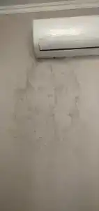 Атмосфера на Толстого - 63