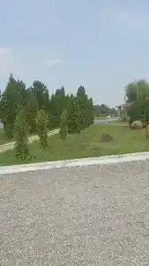 Оазис - 17