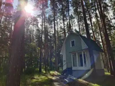 Берендей - 46