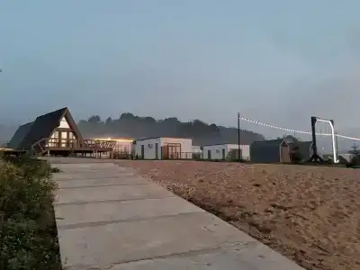 Scandi (Скандинавия) - 88