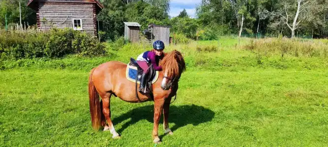 Махерово - 15