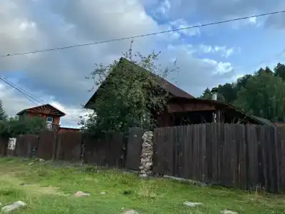 Тайга - 85