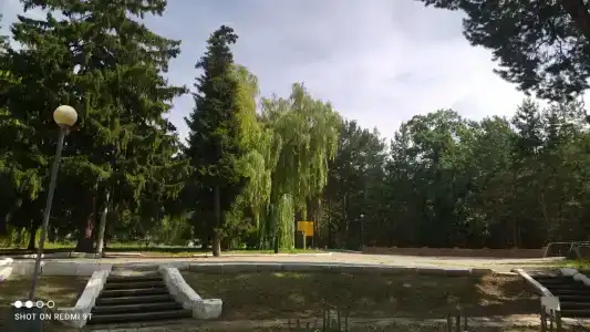Волга - 95