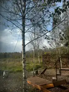 В Поле - 46