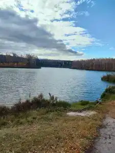 Берёзка - 4