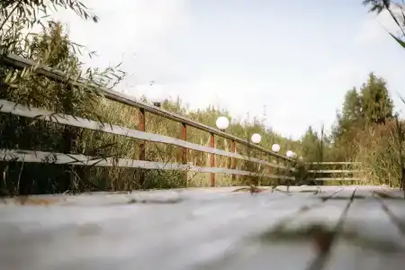 Банный Остров - 67