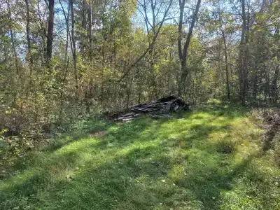 Улыбышево - 85