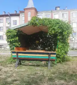 Светлый - 25