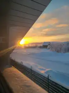 Канентъявр - 55