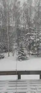 Наша поляна - 10