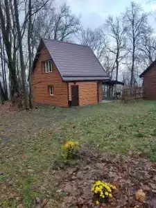 Алмаз - 45