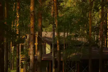 Времена Года - 38