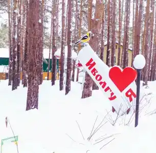 Иволга - 32