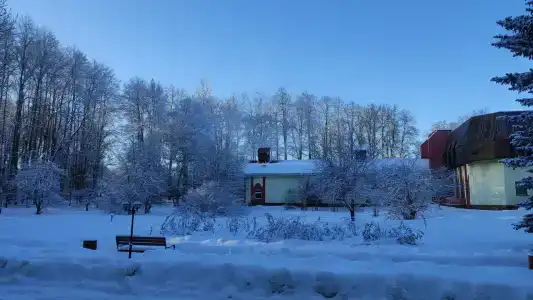 Пялово - 25