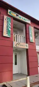 Оазис - 12