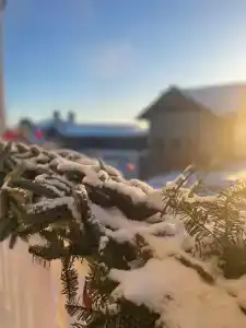 Суворова 26 - 53