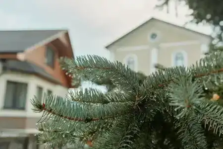 Бай-Дере - 6