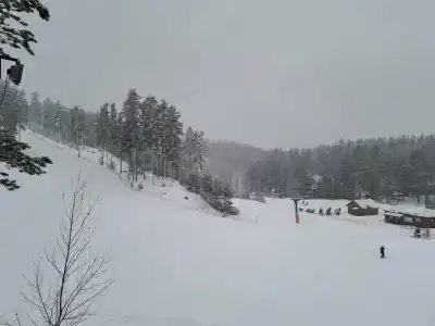 Пухтолова Гора - 47