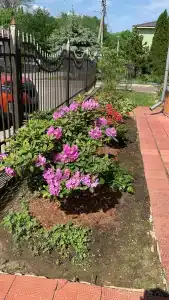 Волшебный Сад - 42