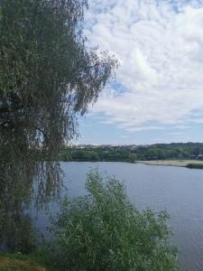 Монахов пруд - 76