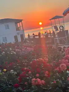 Планета лета - 11