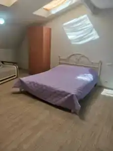Клевер - 31