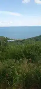 Лиманчик - 54