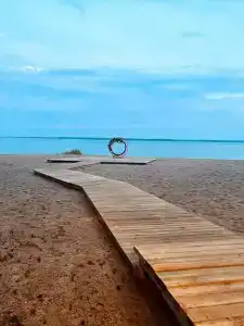 Сосновый бор - 20