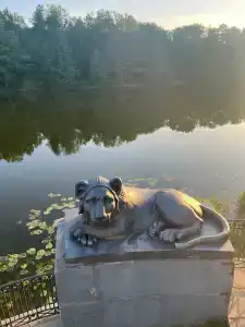 Арт Вилладж Токарево - 3
