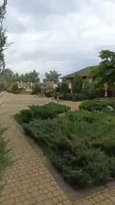 Тиритака - 45