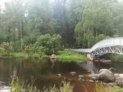 Сосновый мыс - 23