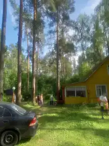 Холодный ручей - 49