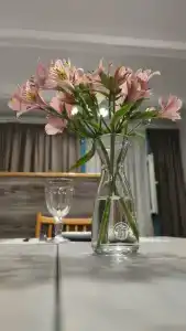 Мацеста Береговая - 83