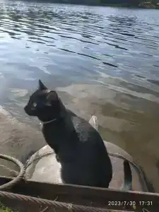 Бодрость - 69