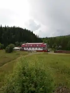 Айгир - 80