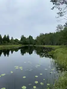 Хутор Уома - 16