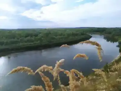 Чайка - 38