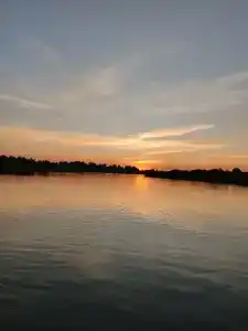 Соколино - 50