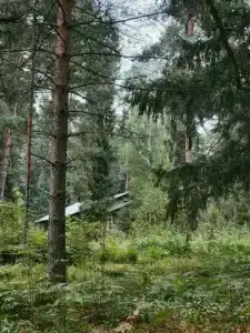 Волга - 35