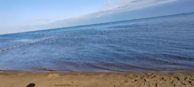 Причал 55 - 77
