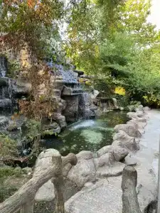 Золотая вилка - 26