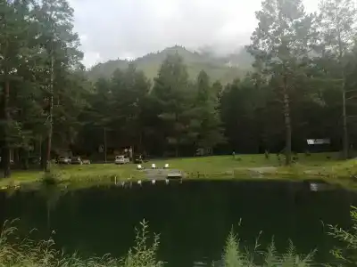 Закуток - 47