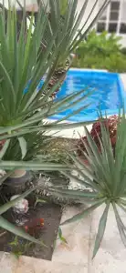 АКВА-АНАПА - 5