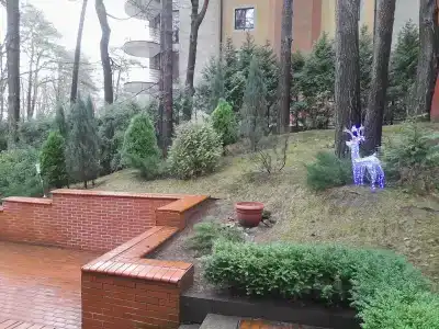 Белое солнце - 5